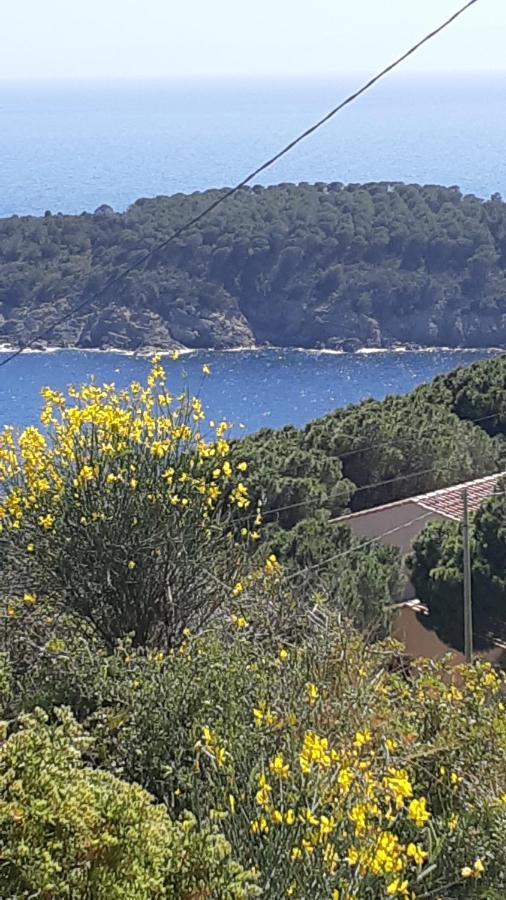 Residence La Calle Isola D'Elba Buitenkant foto