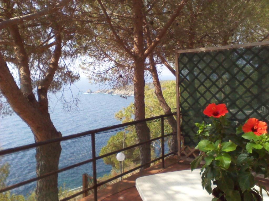 Residence La Calle Isola D'Elba Buitenkant foto